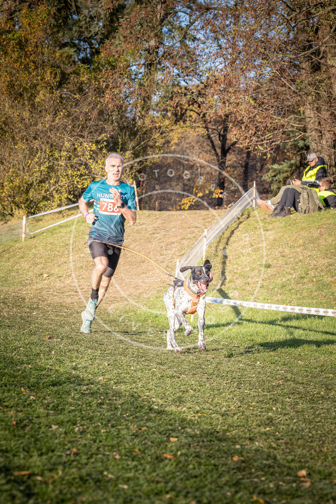 CaniXpix_0L8A0193 | Hundefotografie, Tierfotograf, Pfotenfotografie, Fotoshooting Hund, Hunde Portrait, Hundesport, Hundeportraits, Heideshooting, Hunde, Sportfotograf, Hundefotograf, Turnierhundsport, THS,  - Realisiert mit Pictrs.com