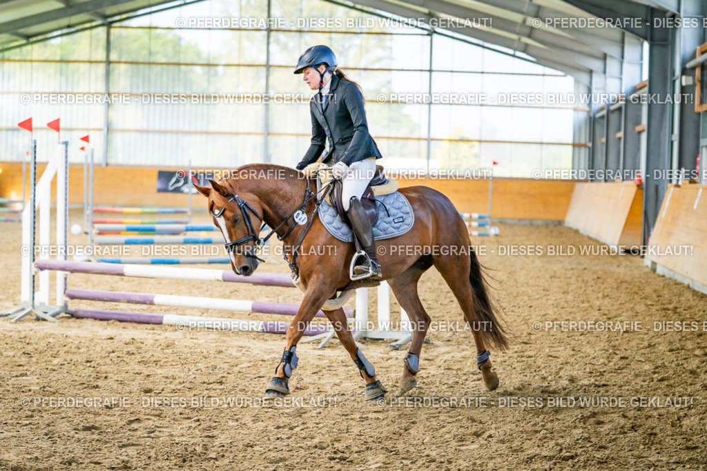 DSC01103 | Pferdegrafie