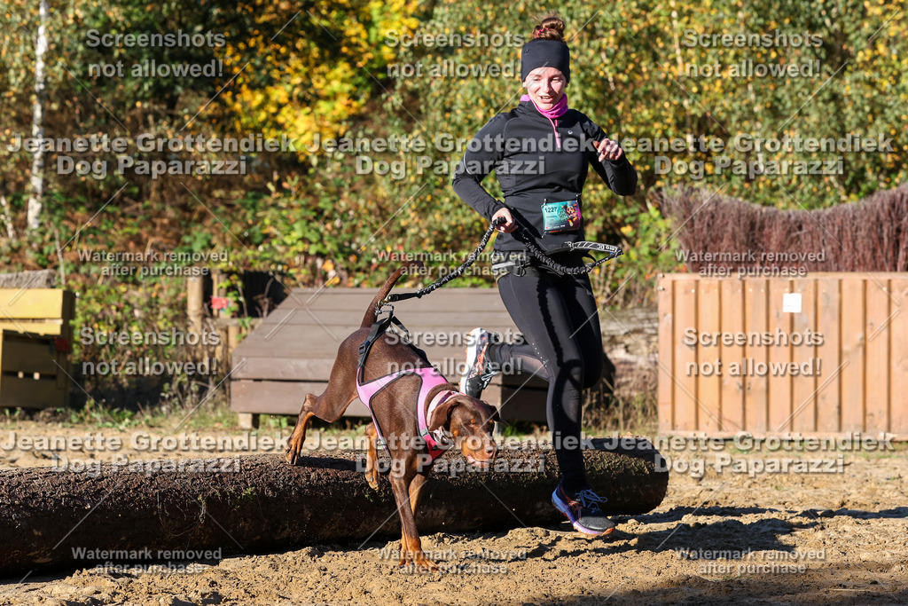 Dog Paparazzi - Strongdog 10-25-1436 | Dog Paparazzi Jeanette Grottendiek Fotografie & Videografie - Realisiert mit Pictrs.com