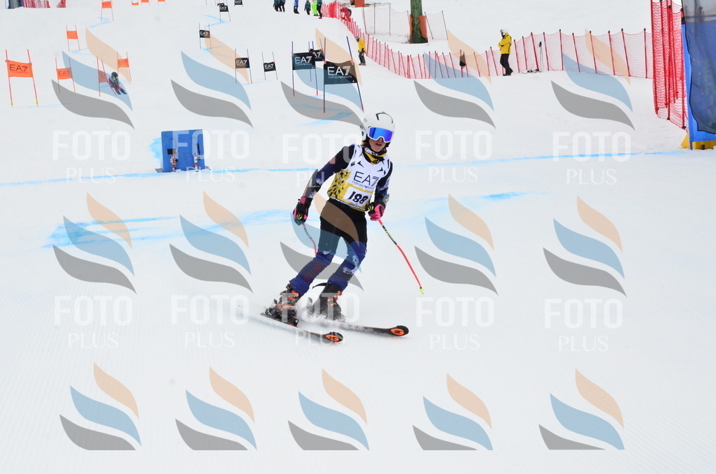 _ELE3995 | holidayphoto