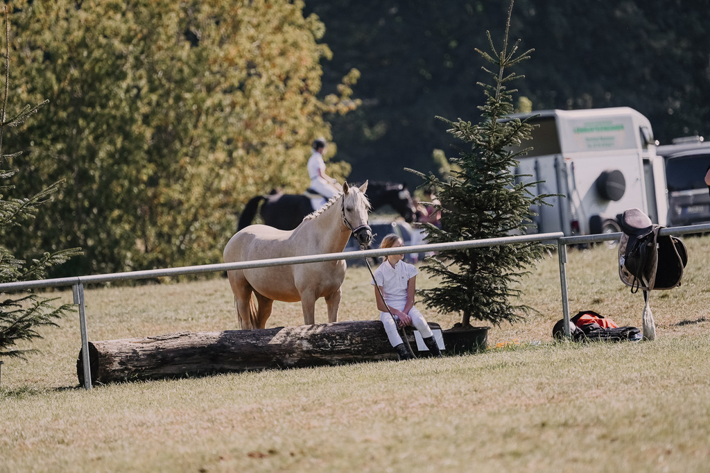 DSC_6786 | Pferde- und Turnierfotografie in Westsachsen. Pferdeportraits, Auftragszeichnungen und intuitive Kunst.