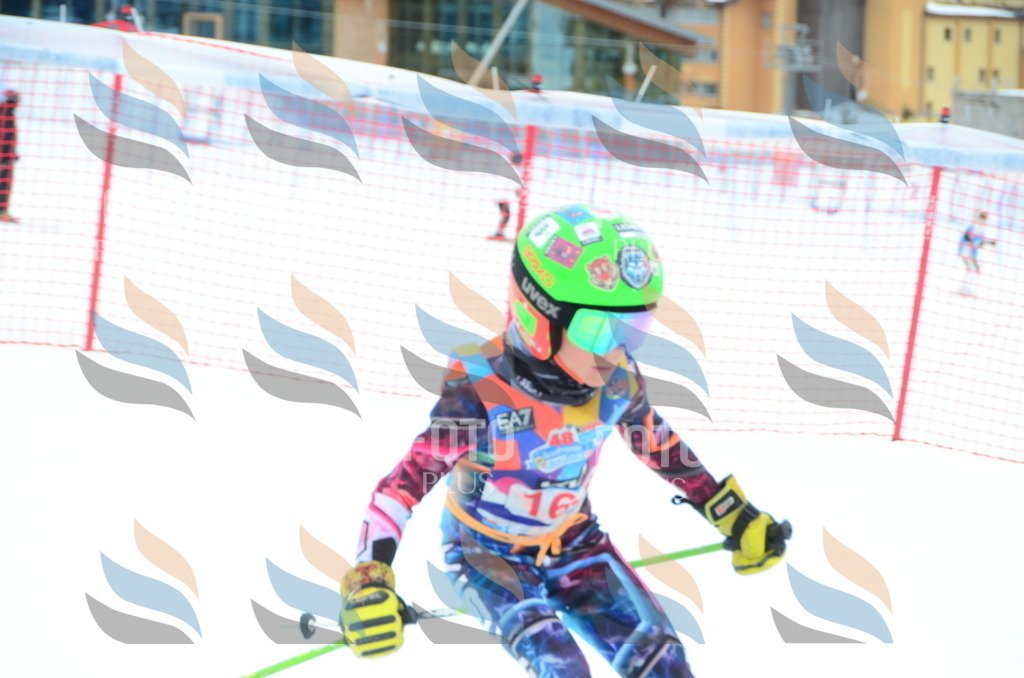 DSC_1563 | holidayphoto