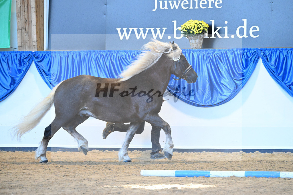 Kat-Nr. 108 Edora_ZG Haefele_53220766 | hf-fotografie - Realizzato con Pictrs.com