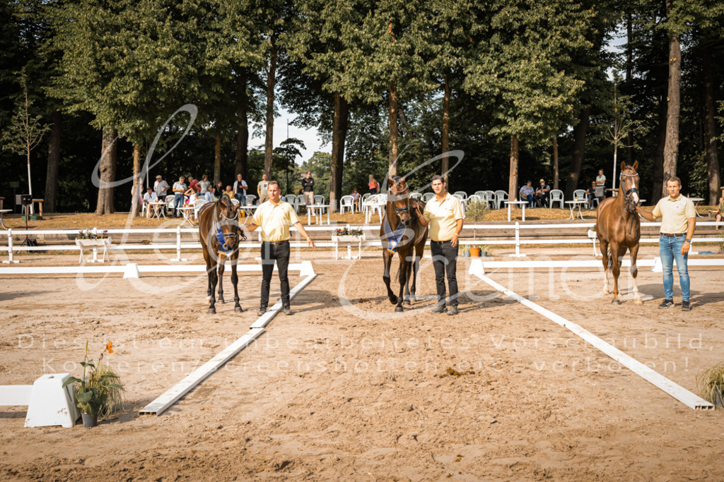 FrER00287 | Leoni Ertmer Photography - Realisiert mit Pictrs.com