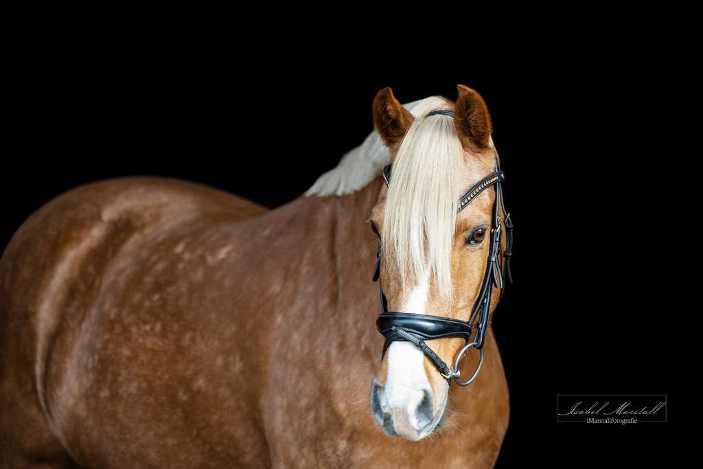 IMG_0007_Web | Isabel Marstall Fotografie - Realisiert mit Pictrs.com