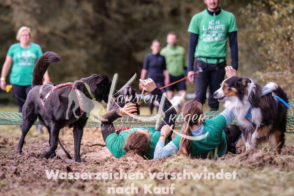 1216_ZZ92956 | kk-dogfotos