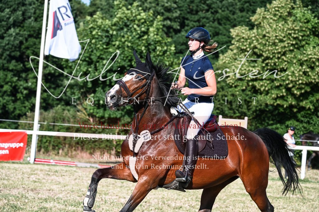 DSC_2875 | Pferde- und Turnierfotografie in Westsachsen. Pferdeportraits, Auftragszeichnungen und intuitive Kunst.
