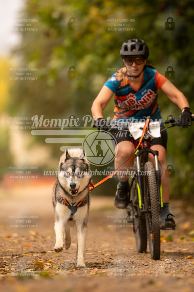 CDLBDB_14_10_2023_Samedi-137 | PayLife