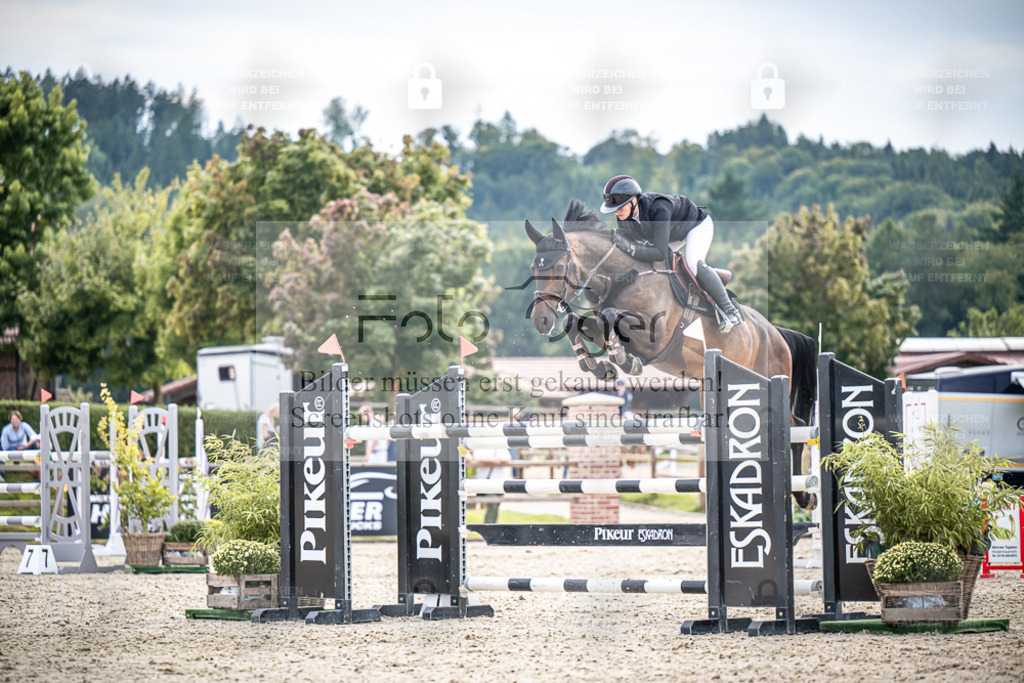 DOS_2798 | Entdecke hochwertige Reitturnierfotos von Foto Oger. Professionell, emotional und authentisch – jetzt Lieblingsmomente im Shop bestellen. - Realisiert mit Pictrs.com