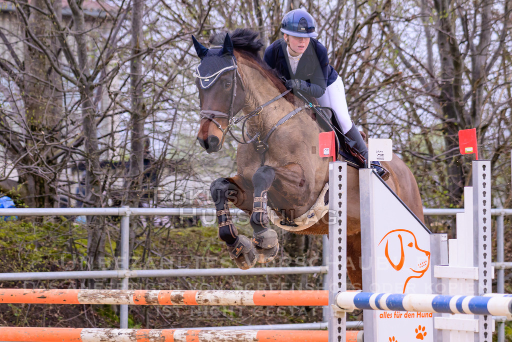 10042026-Mammendorf-Prfg17-0637 | Fokus Hufschlag Fotografie - Realisiert mit Pictrs.com