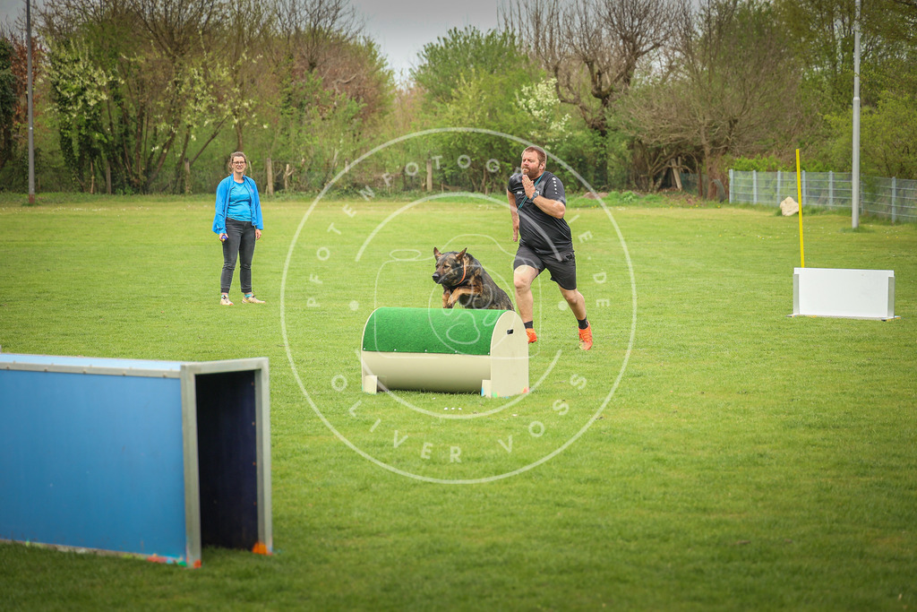 Pfotenfotografie_0L8A9977 | Hundefotografie, Tierfotograf, Pfotenfotografie, Fotoshooting Hund, Hunde Portrait, Hundesport, Hundeportraits, Heideshooting, Hunde, Sportfotograf, Hundefotograf, Turnierhundsport, THS,  - Realisiert mit Pictrs.com