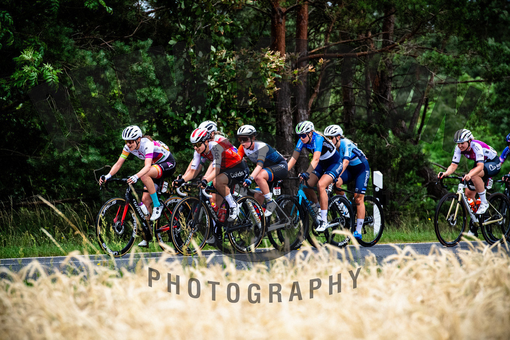 _D5A6910 | Drew Kaplan Photography