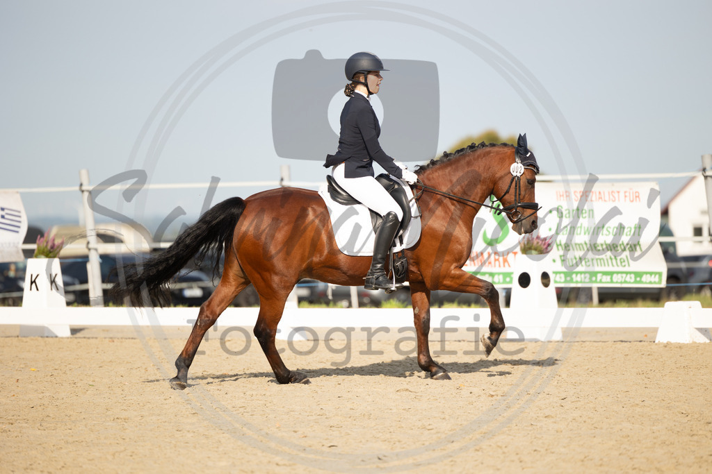 994A1241 | sabrinanicolaifotografie - Realisiert mit Pictrs.com