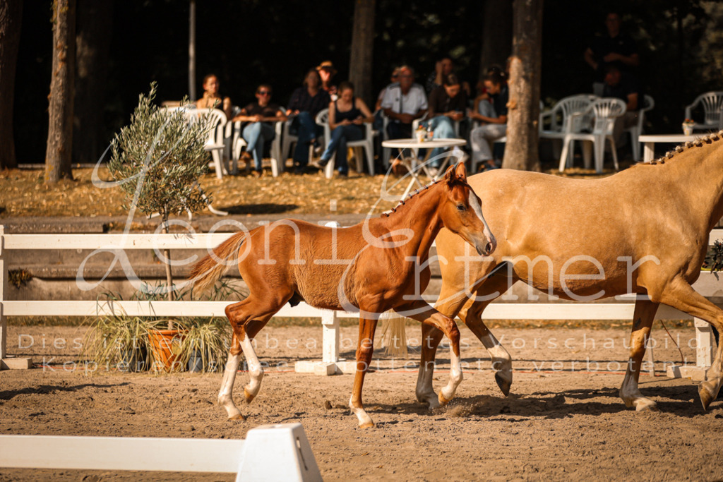 11.DoRP00037 | Leoni Ertmer Photography - Realisiert mit Pictrs.com