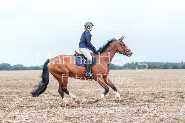 Jagd Perdoel 26 Sony-03350_MarinaHewig | Fotografie, FotoArt, PferdesportArt, Pferdesportfotografie, Landschaftsfotografie, Reisefotografie, Reise, Pferde - Realisiert mit Pictrs.com