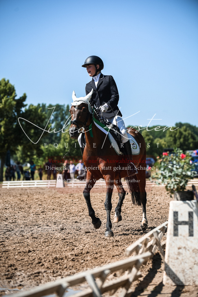 DSC_3717 | Pferde- und Turnierfotografie in Westsachsen. Pferdeportraits, Auftragszeichnungen und intuitive Kunst.