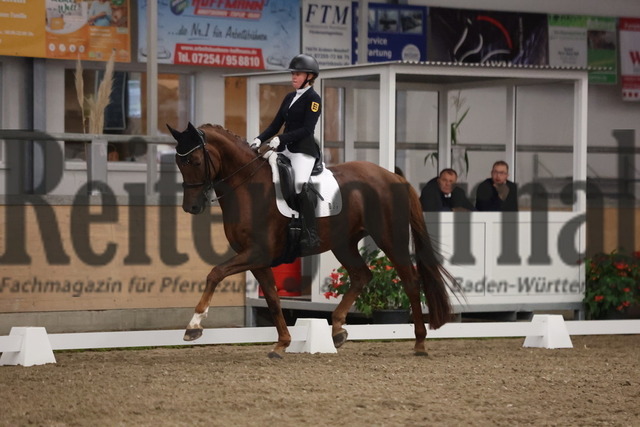 Waghäusel-Wiesental_2024_Prfg.Nr.08_1.WP_U25_Clara Kohoutek_Belinda FRH (4) | Alle Fotos der Reiterjournal Fotografin Doris Matthaes im Reiterjournal Online-Fotoshop. - Realisiert mit Pictrs.com