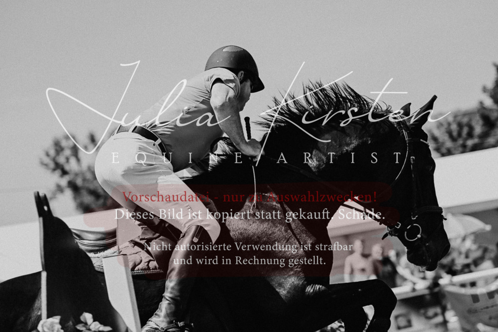 DSC_0759 | Pferde- und Turnierfotografie in Westsachsen. Pferdeportraits, Auftragszeichnungen und intuitive Kunst.