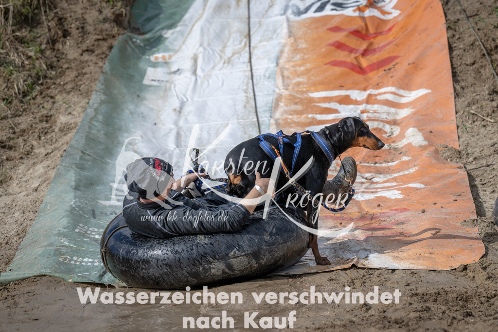 1100_ZZ92770 | kk-dogfotos