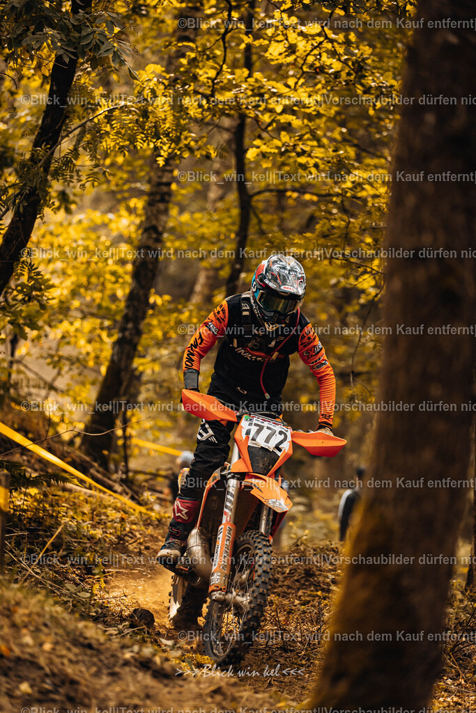 E68A4021 | blick_win_kel