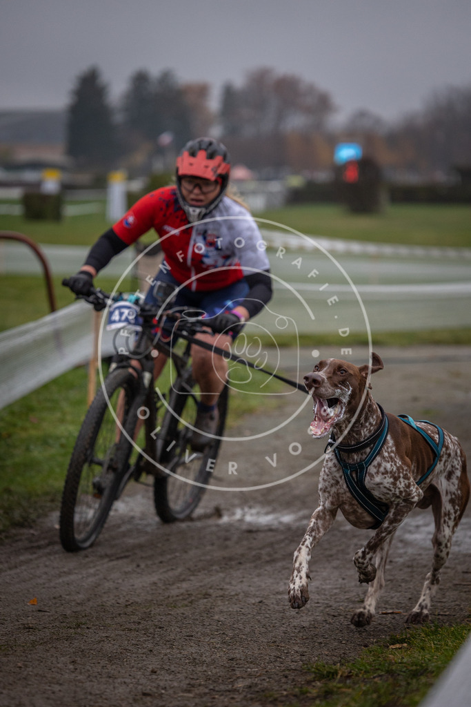CaniXpix_0L8A1471 | Hundefotografie, Tierfotograf, Pfotenfotografie, Fotoshooting Hund, Hunde Portrait, Hundesport, Hundeportraits, Heideshooting, Hunde, Sportfotograf, Hundefotograf, Turnierhundsport, THS,  - Realisiert mit Pictrs.com