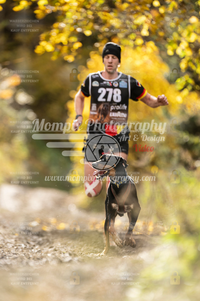 MompixPhotography_ICF_WC_2024_SA_Run_-118 | PayLife
