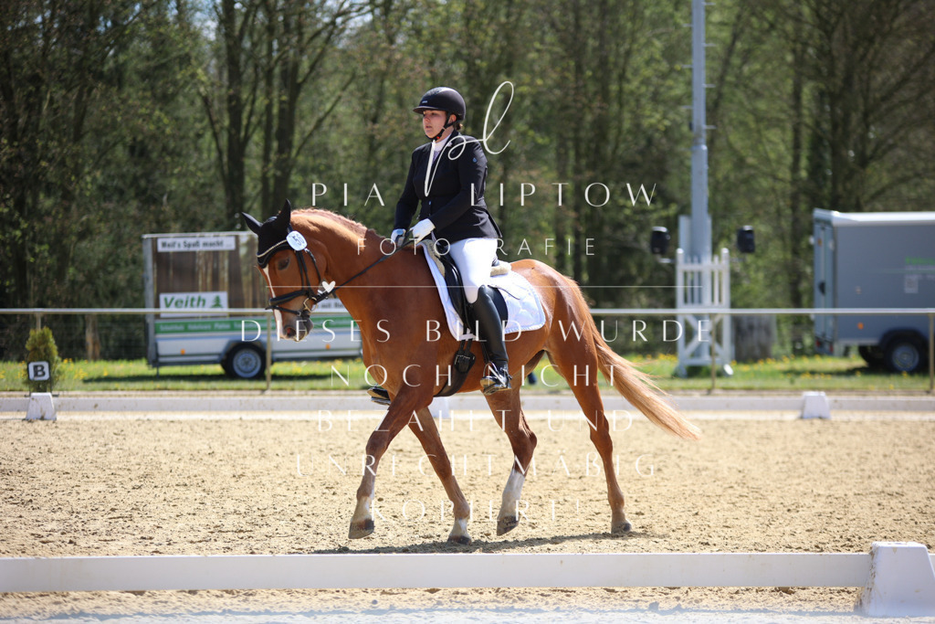 IMGT2230 | pl-fotografie