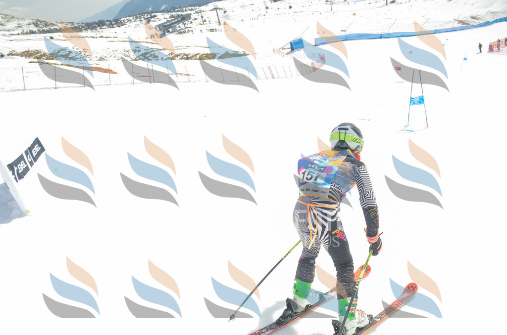 _ELE6393 | holidayphoto