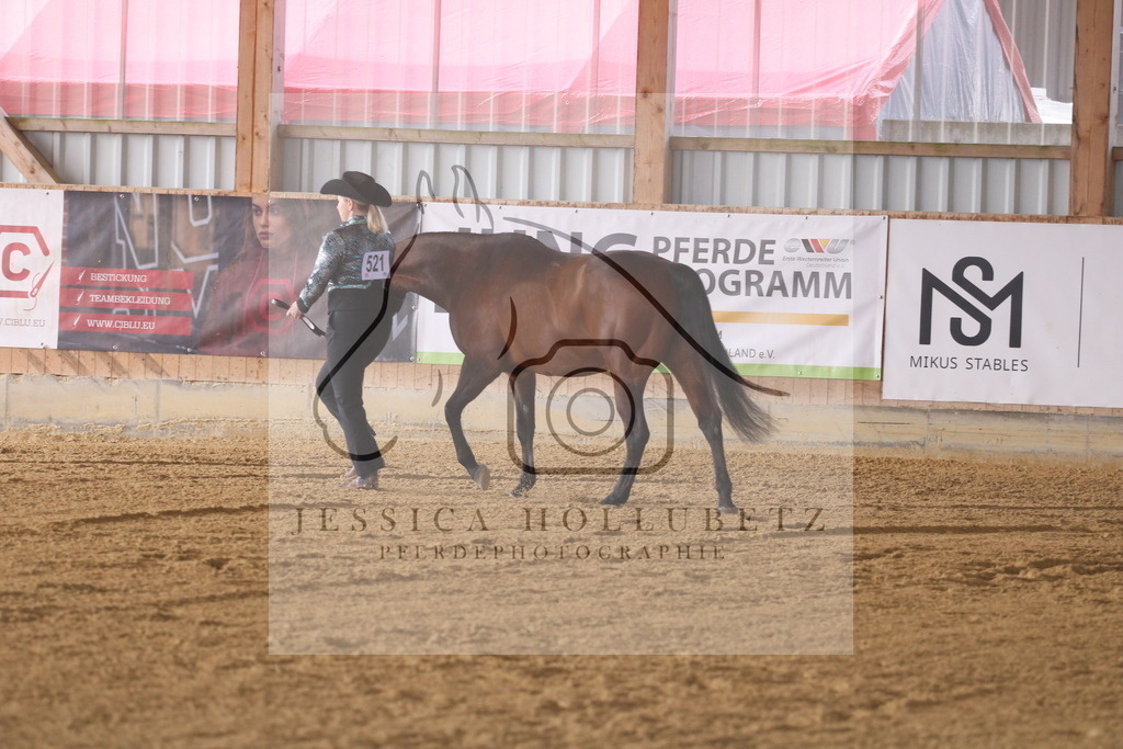 IMG_6667 | jessicahollubetz_pferdephotographie - Realisiert mit Pictrs.com