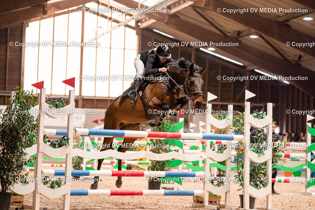 Springen Tag 3-363 | dv-media-shop - Realisiert mit Pictrs.com