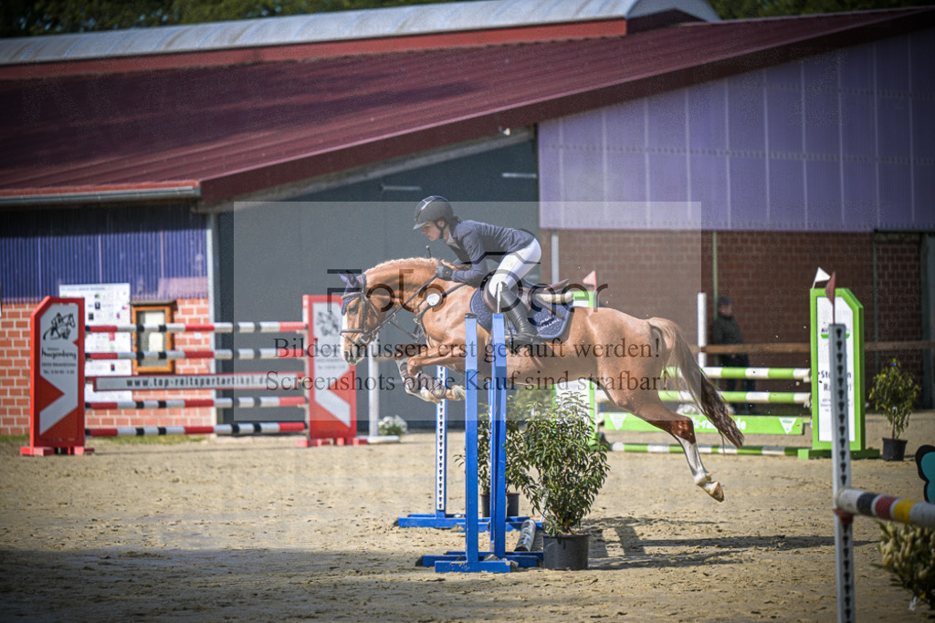 DOS_5931 | Entdecke hochwertige Reitturnierfotos von Foto Oger. Professionell, emotional und authentisch – jetzt Lieblingsmomente im Shop bestellen.Deutschlandweite Turnierfotografie. - Realisiert mit Pictrs.com