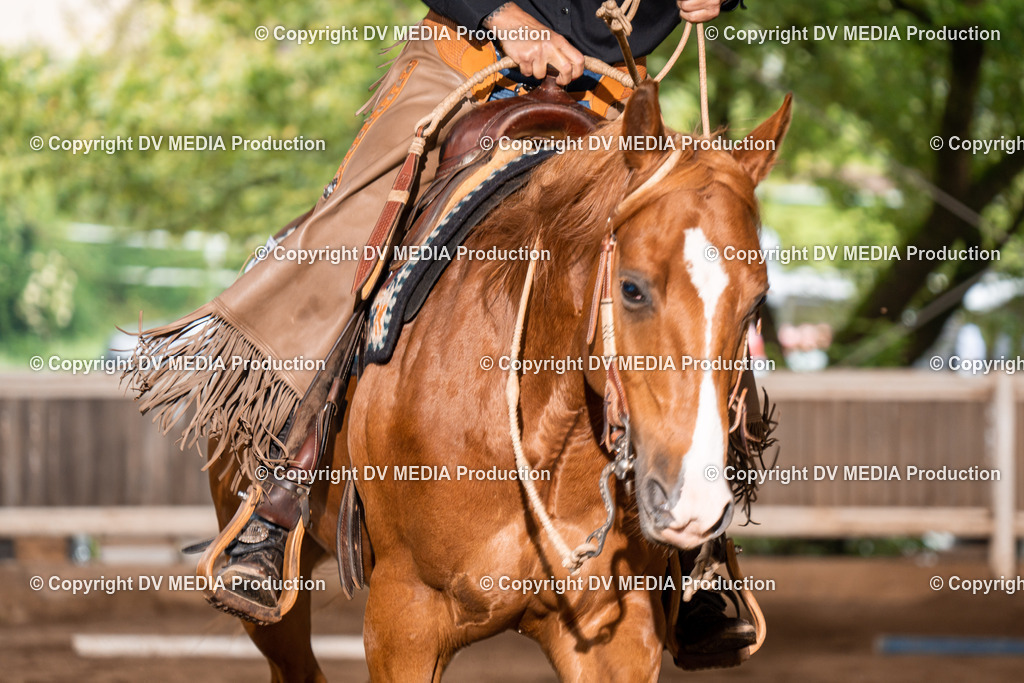 Erbach Tag 2-468 | dv-media-shop - Realisiert mit Pictrs.com