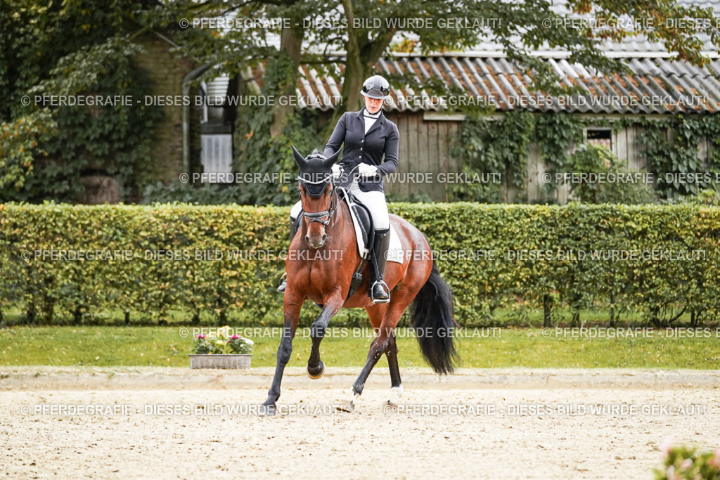 DSC07489 | Pferdegrafie