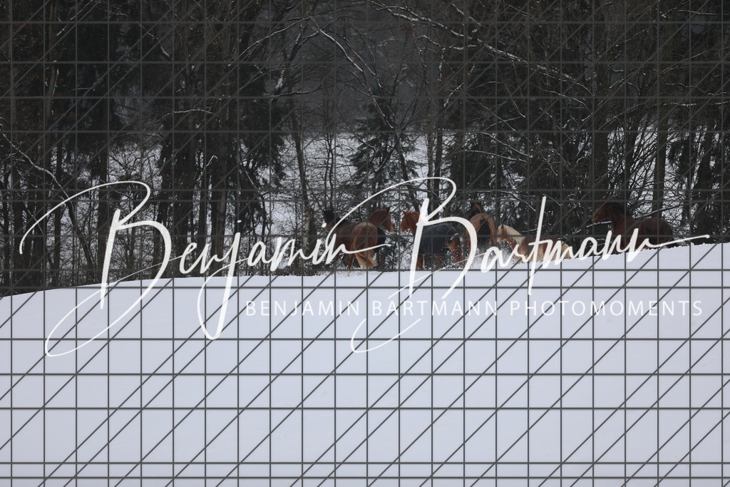 AZ2A3297 | Benjamin Bartmann Photomoments