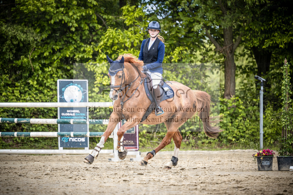 DOS_1678 | Reitturnier Lüdinghausen - Realisiert mit Pictrs.com