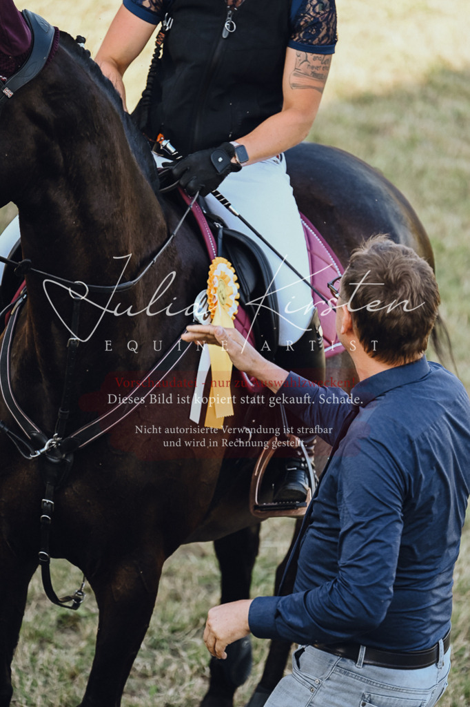 DSC_3285 | Pferde- und Turnierfotografie in Westsachsen. Pferdeportraits, Auftragszeichnungen und intuitive Kunst.