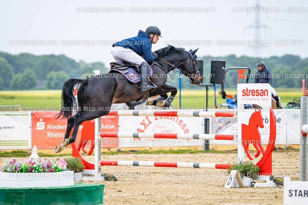 DSC08351 | Pferdegrafie