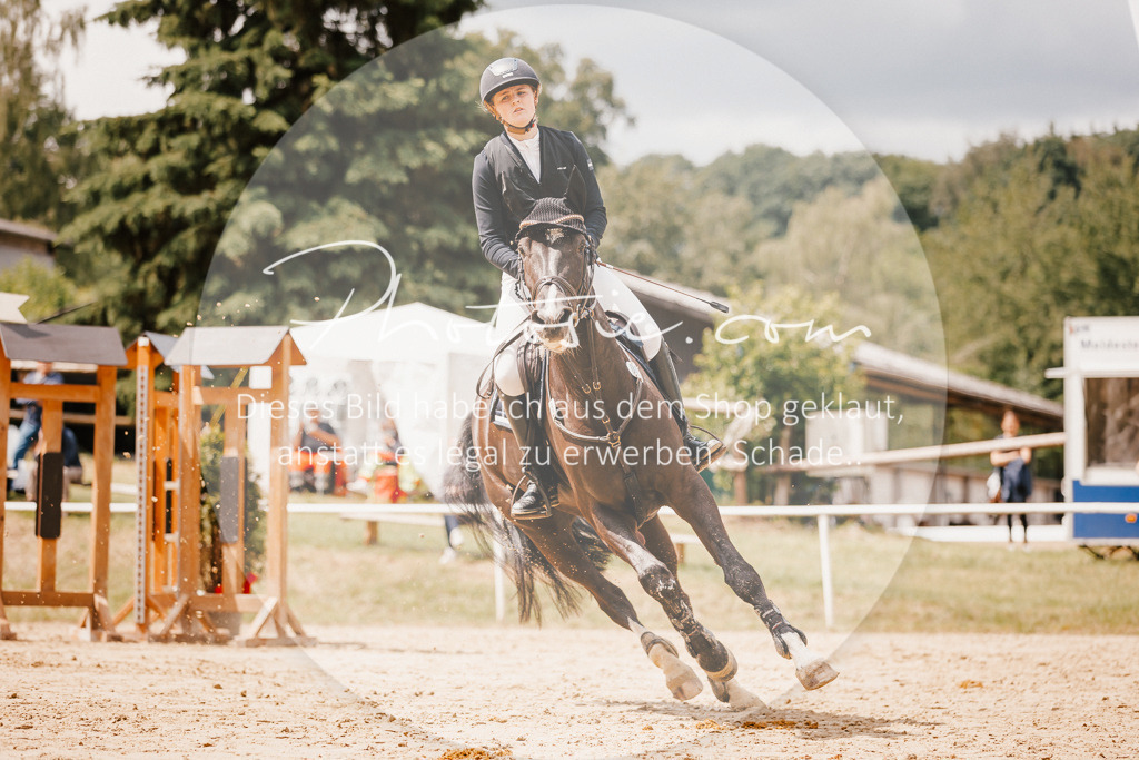 3I6A2339 | Stimmungsvolle Portraits und Reitsportfotografie im Ruhrgebiet und im Münsterland.

Pferdefotografie, Hundefotografie, Tierfotografie, Reportagen, Portraits von Tier und Mensch, Turnierfotografie in Bochum, Recklinghausen, Marl, Haltern am See, Dülmen.. - Realisiert mit Pictrs.com