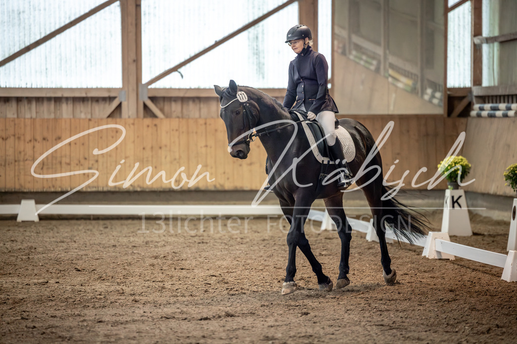 20251011-_3LI6408 | Tierfotografie Pferde, Hunde, Katzen, Haustiere.
Turnierfotografie Reitturniere, Reiten, Springreiten, Dressur in Hanau, dem Main-Kinzig-Kreis und dem Rhein-Main- Gebiet um Frankfurt