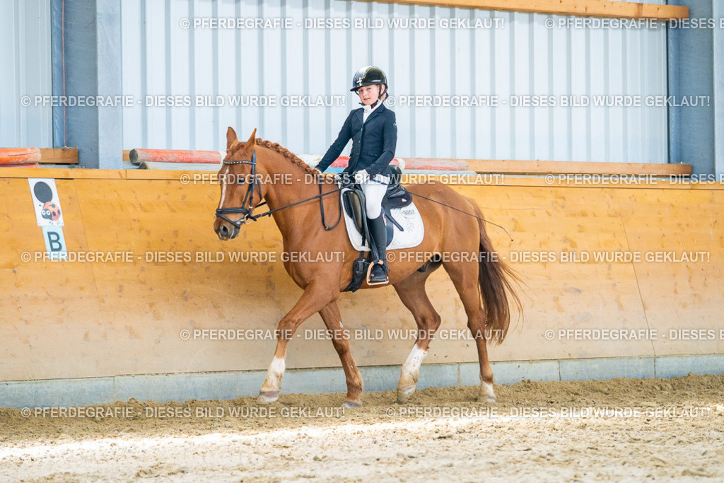 DSC08395 | Pferdegrafie