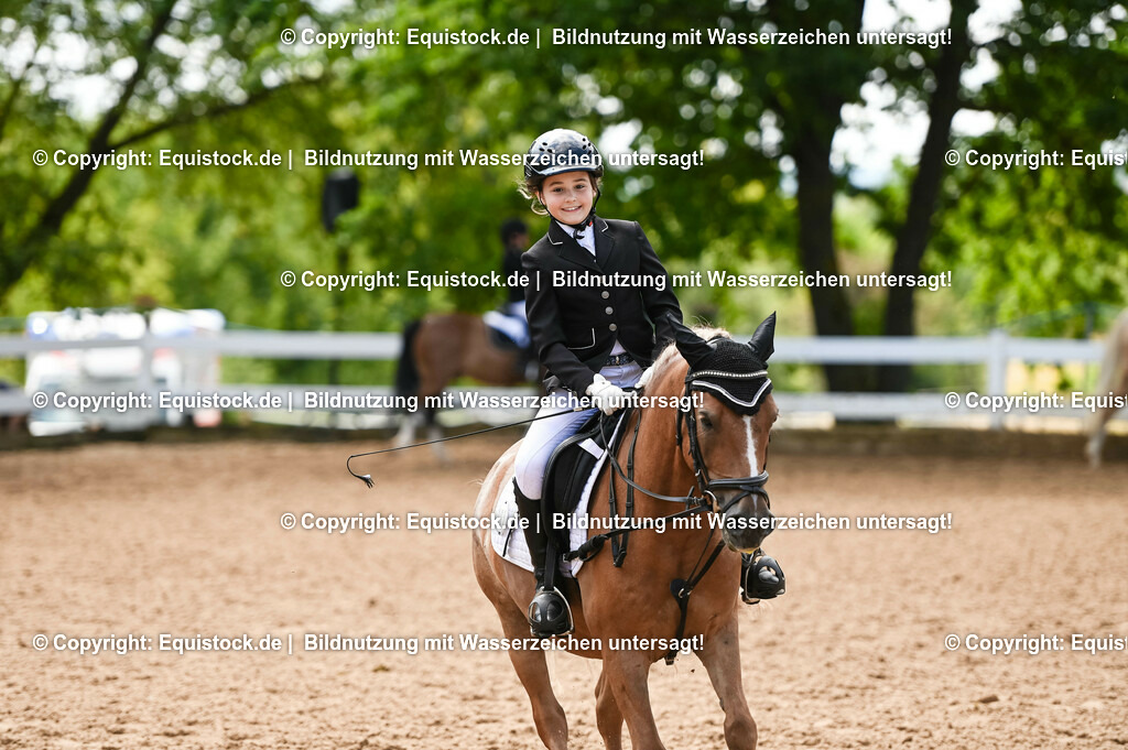 20230716_10-3_Reiter-WB Schritt - Trab - Galopp_0187 | equistock