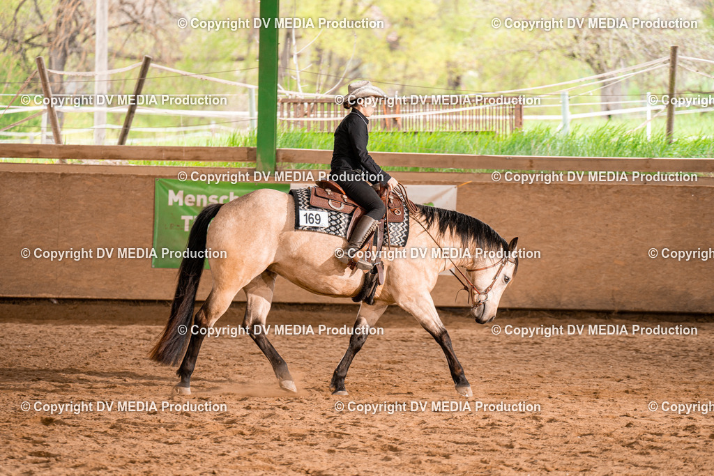 BA300854 | dv-media-shop - Realisiert mit Pictrs.com