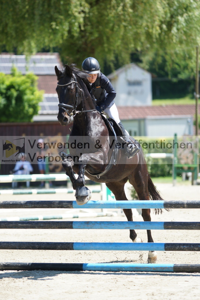 DSC09159 | equestrian-live-com