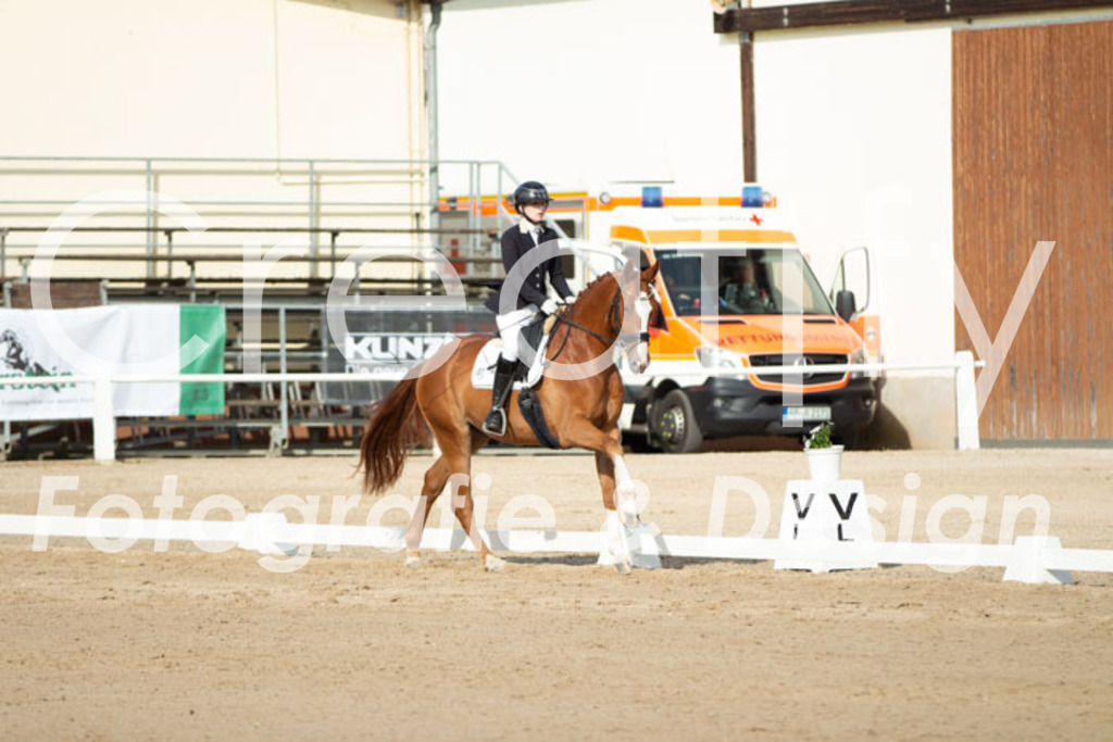 IMG_0644 | Creatify Fotografie