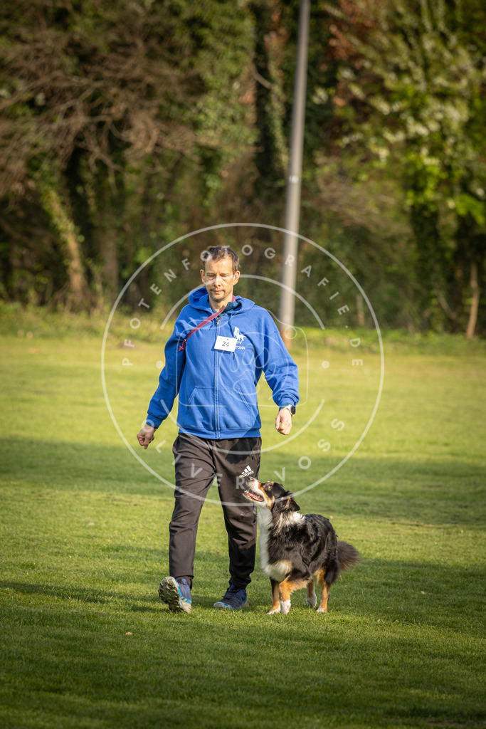 Pfotenfotografie_DV3A4816 | Hundefotografie, Tierfotograf, Pfotenfotografie, Fotoshooting Hund, Hunde Portrait, Hundesport, Hundeportraits, Heideshooting, Hunde, Sportfotograf, Hundefotograf, Turnierhundsport, THS,  - Realisiert mit Pictrs.com