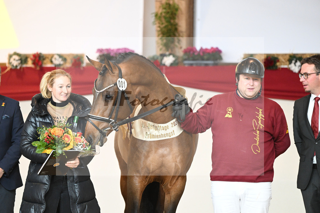 Kat-Nr. 1 Alaba_Wilbers_1231671 | hf-fotografie - Realizzato con Pictrs.com