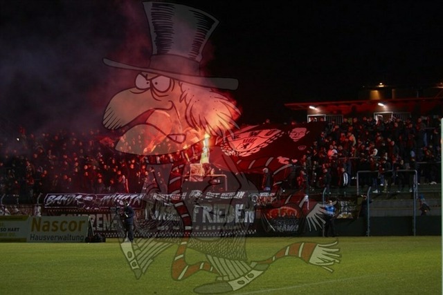 BFC Dynamo vs. BSG Chemie Leipzig 021 | mythos-online-redaktion