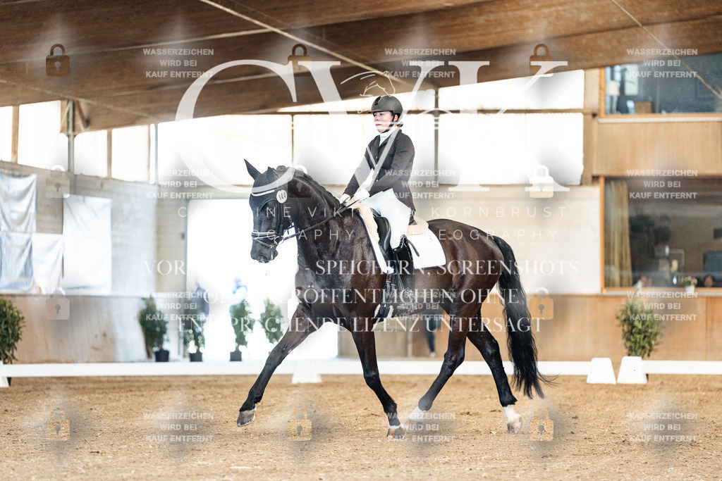 CK900656 | Turnierfotografie Pferdefotografie Trier Rheinland-Pfalz Pferdesport Reitsport Tierfotografie Sportfotografie Pferdevideo Pferdevideografie Equestrianvideography equestrianphotography  - Realisiert mit Pictrs.com