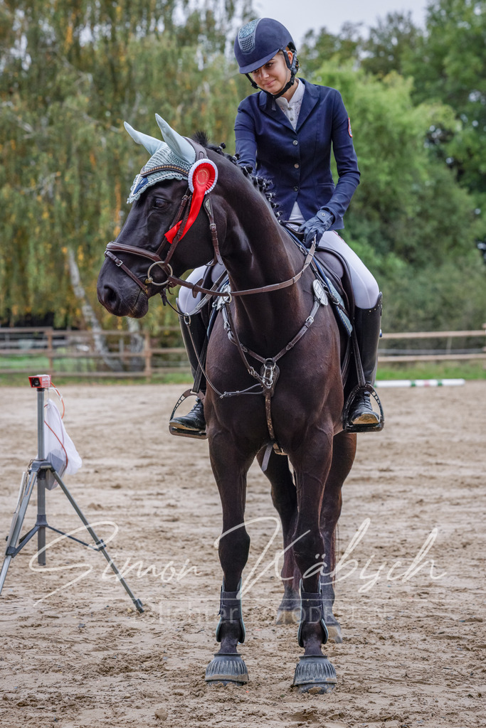 20251012-_3LI3548 | Tierfotografie Pferde, Hunde, Katzen, Haustiere.
Turnierfotografie Reitturniere, Reiten, Springreiten, Dressur in Hanau, dem Main-Kinzig-Kreis und dem Rhein-Main- Gebiet um Frankfurt