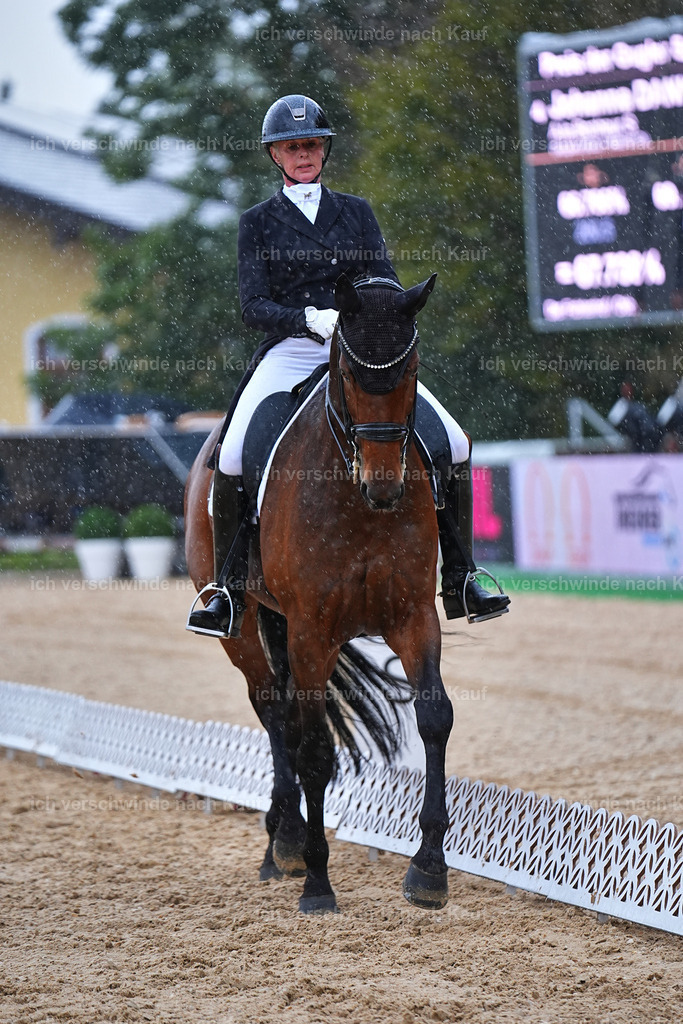 8_1-020-Klasse S_  -Marixx-4345 | working equitationturnier fotograf videograf stoibphotography marixx film working equitation deutschland reitsport turnierfotografie eventfotografie equestrian events